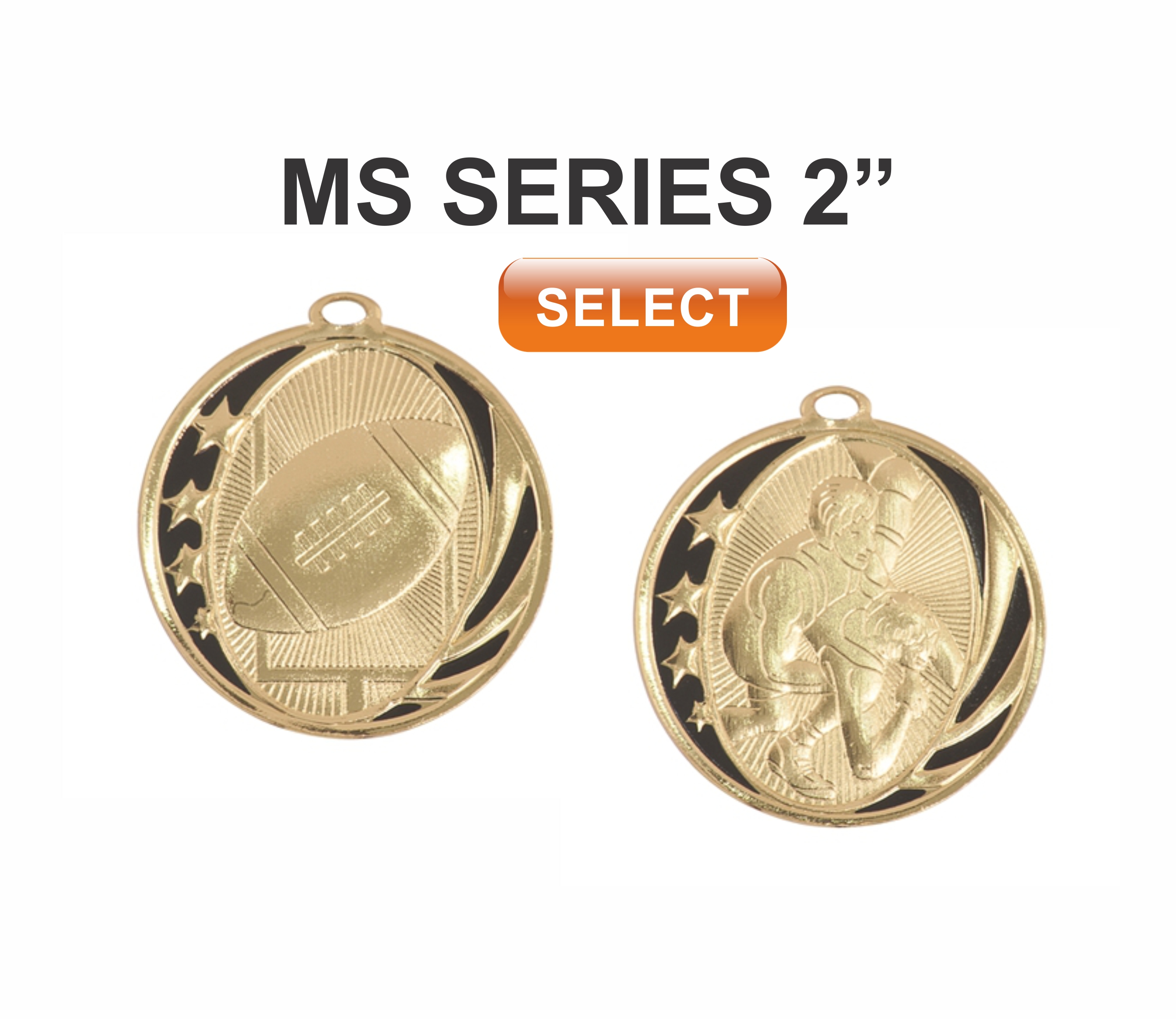 ms series award medals